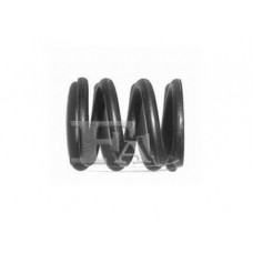 Fischer 135-902 Ford пружина